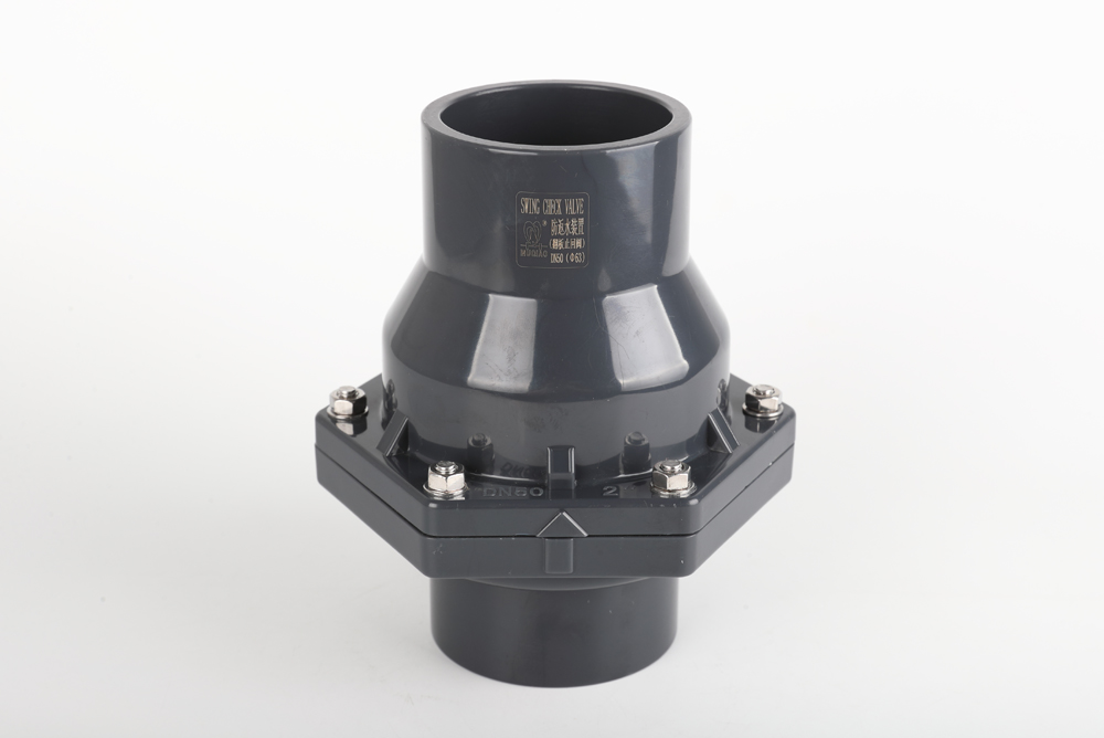 洪泽翻板式止回阀